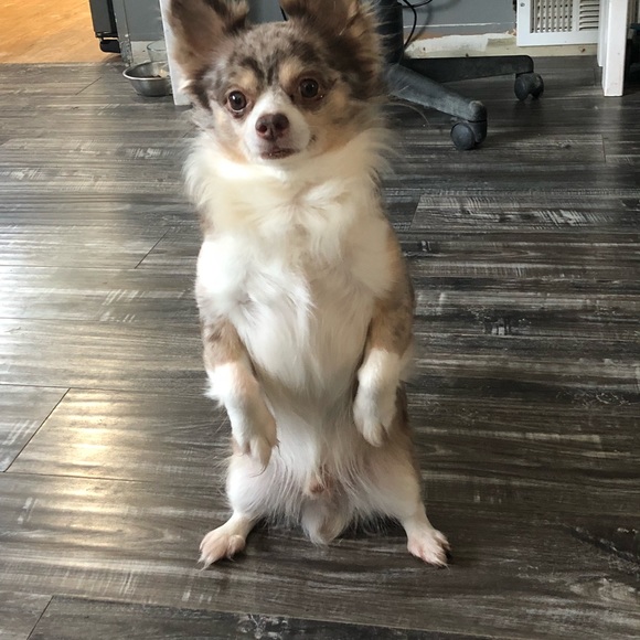 Jessica - Picture 6 of 8